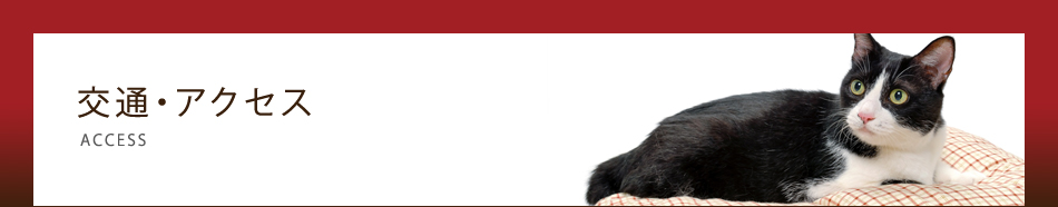 おがわペットクリニック交通・アクセス