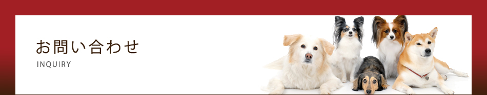 おがわペットクリニック　お問い合わせ