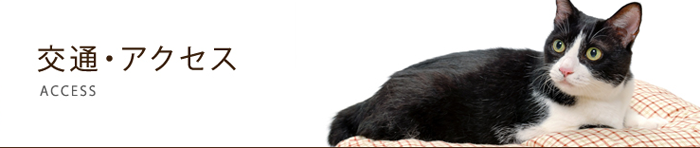 交通・アクセス