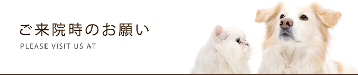 ご来院時のお願い