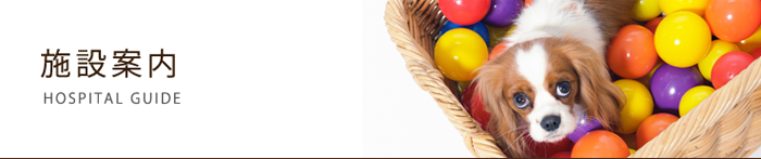 施設案内