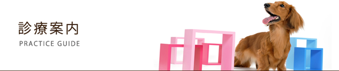 診療時間・診療科目