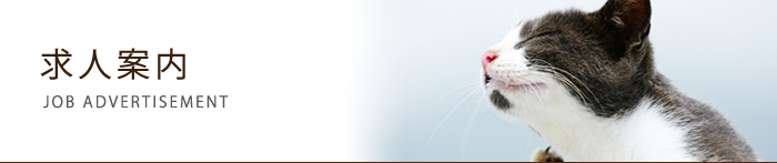 求人案内
