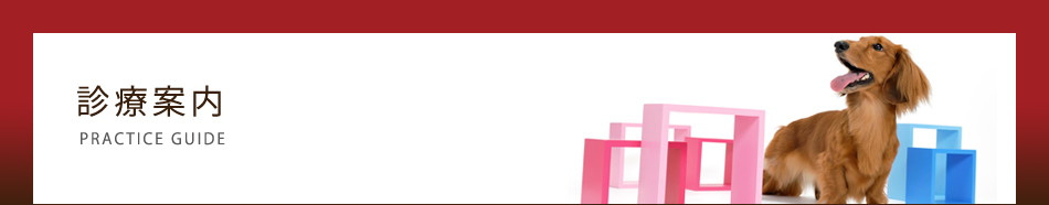 おがわペットクリニック診療案内