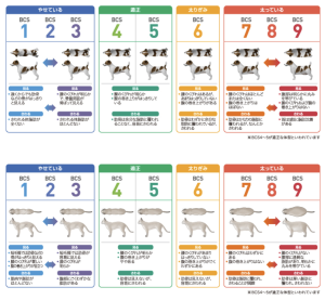 スクショbcs犬猫