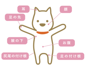 スクリーンショット 2021-07-13 18.39.33