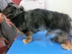 チャチャ最終(2) (800x600)